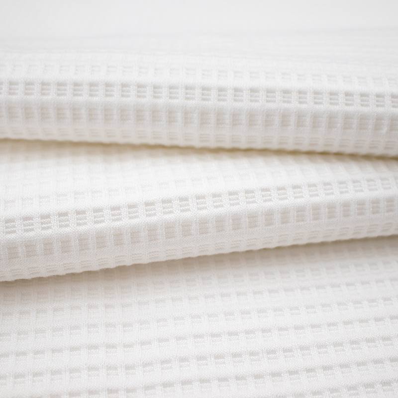 Fabraic Pillow um Thoirchis Tencel