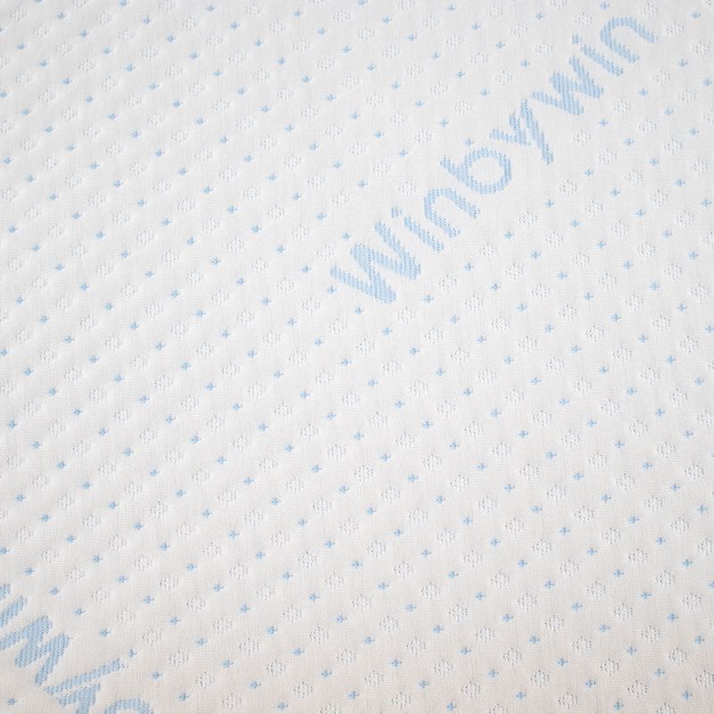 Fabraic Pillow um Thoirchis Tencel